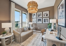 Silverleaf - Burnet - Study.jpg