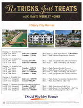 Emerald Landing at Waterside - City Homes