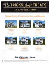 Emerald Landing at Waterside - Cottage Series