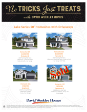 Emerald Landing at Waterside - Lake Series