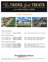 Emerald Landing at Waterside - Town Homes