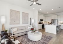7-15793Palmwood_007.jpg