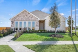 Lone Oak