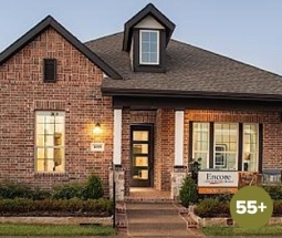 David Weekley Homes Elements 45'