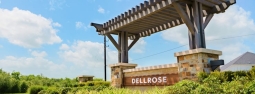 Dellrose