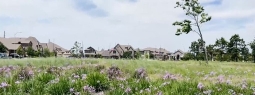 Jordan Ranch