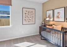 24-TM Model-9618 Skyway Creek-20240212-min.jpg