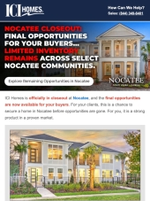 Nocatee Closeout: Final Opportunities for Your Buyers