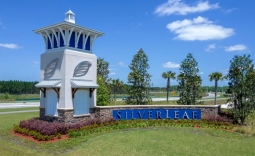 SilverLeaf