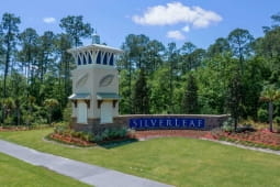 SilverLeaf 70'