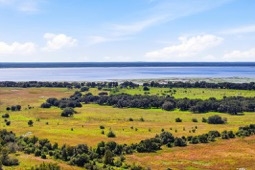 Palmeras at Crossprairie – The Palms Collection