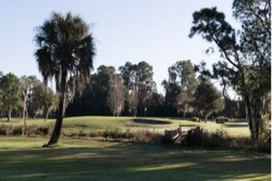 Willowbrook North