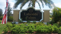Lakeside Palms