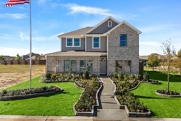 Lone Oak