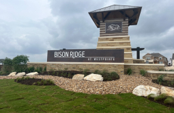 Bison Ridge
