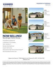 Edgemont At Serenoa - Now Selling