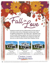Fall in Love - Central Living